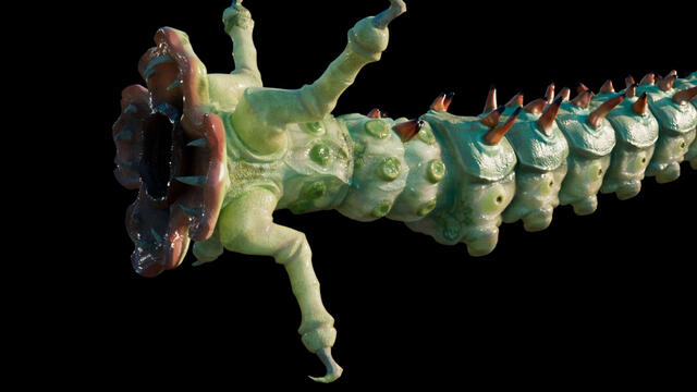 Creature Texture Render by Waimalie Rupene