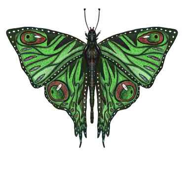 Butterfly Concept by Thomas Howie