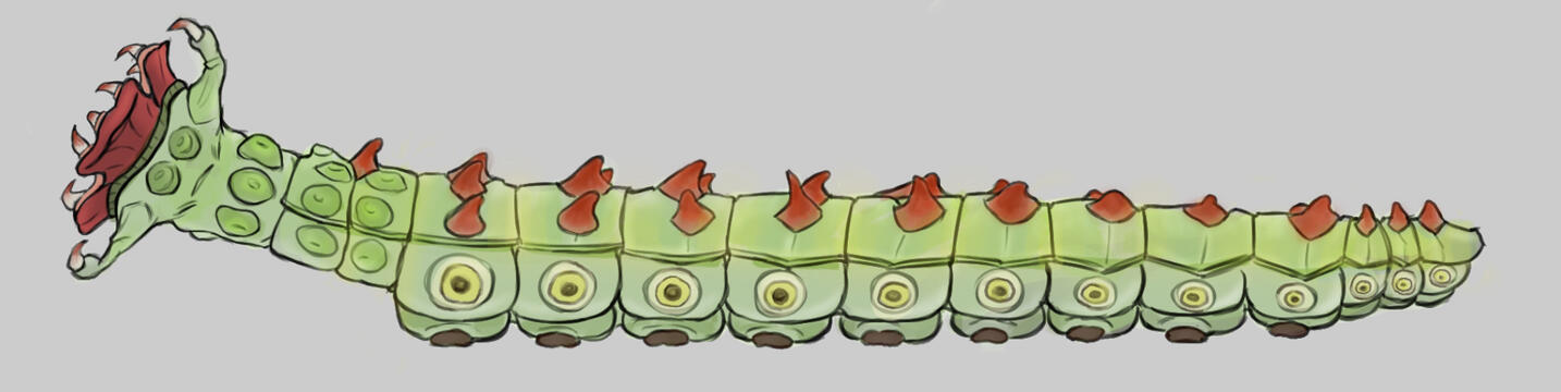 Creature Final by Joelle Burt